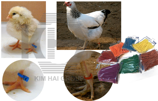 dây thít nhựa nhiều màu
