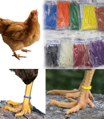 dây thít nhựa nhiều màu đánh dấu