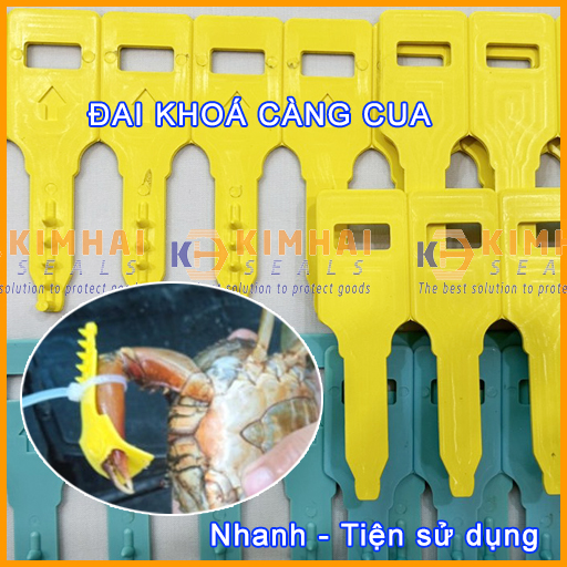 đai khoá càng cua