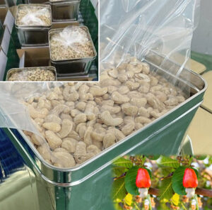Thùng thiếc nắp đậy 20L đựng hạt điều, trà, cà phê, ngũ cốc - Ảnh 6